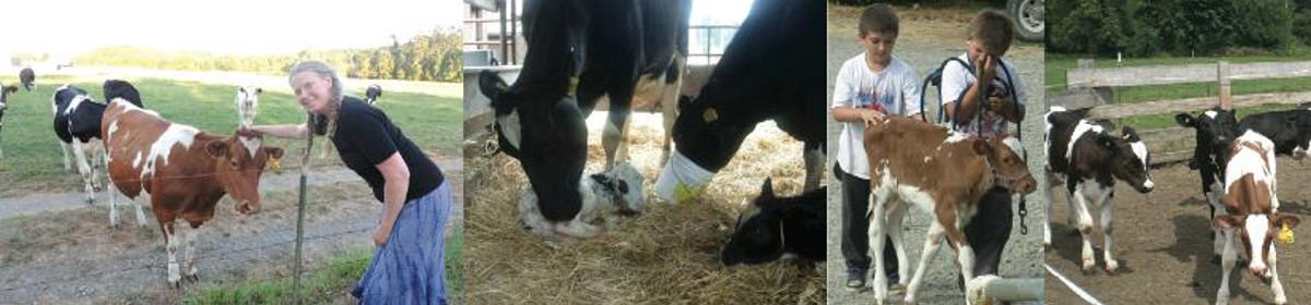 Flying Cow Creamery