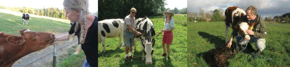 Flying Cow Creamery